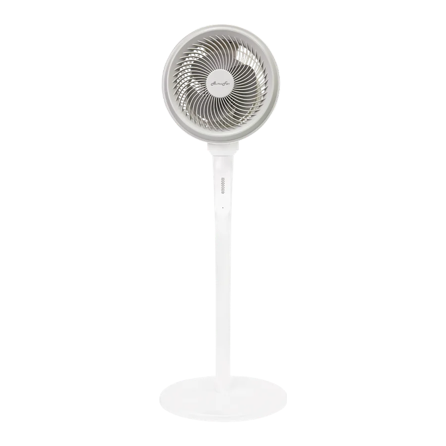 AlphaFan Motto Stand Fan C21